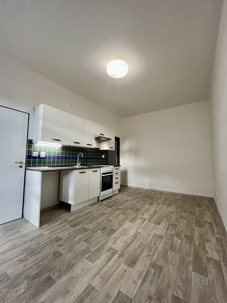 Pronájem bytu 1+1 50 m² – fotografie 4