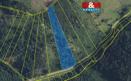 Prodej lesa 12 967 m², Nemile, okres Šumperk