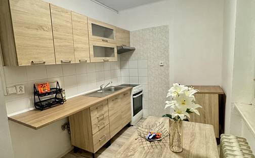 Pronájem bytu 2+1 52 m², Pionýrů, Most