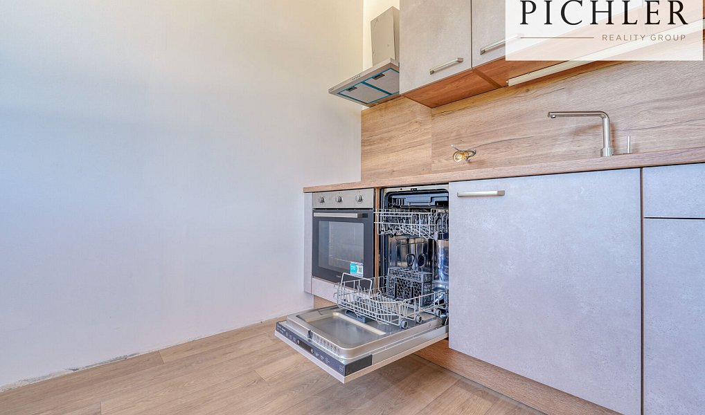 Pronájem bytu 1+kk 35 m², Horní Bříza – náhled fotky 4