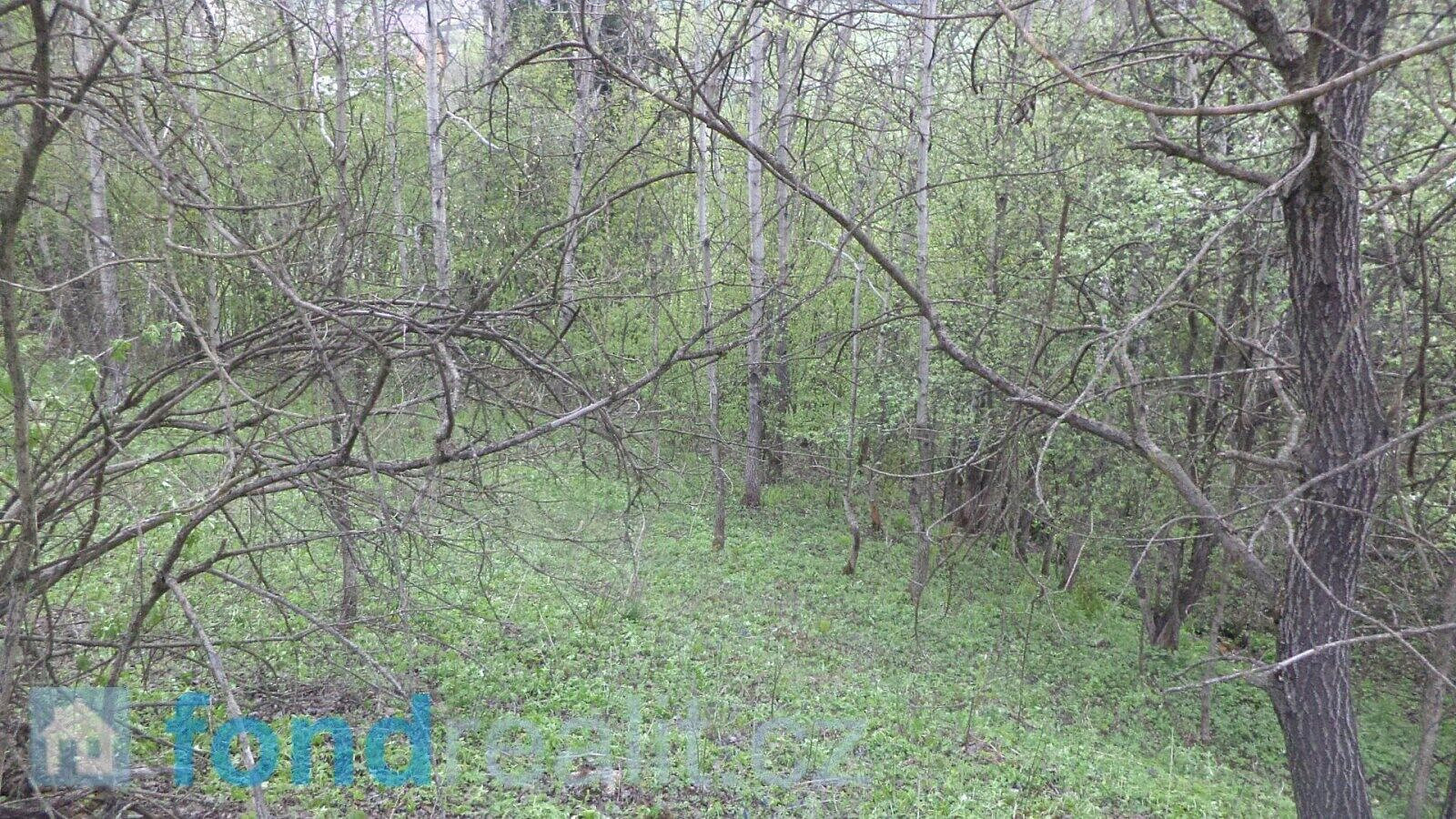 Fotka 10 z 15