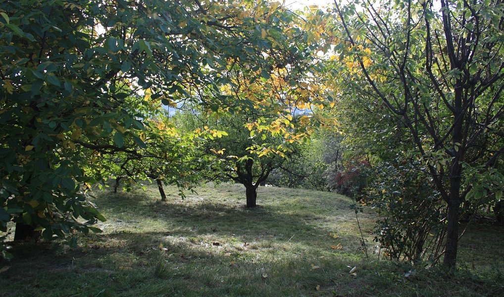 Prodej pozemku, 1152 m², Chrudim