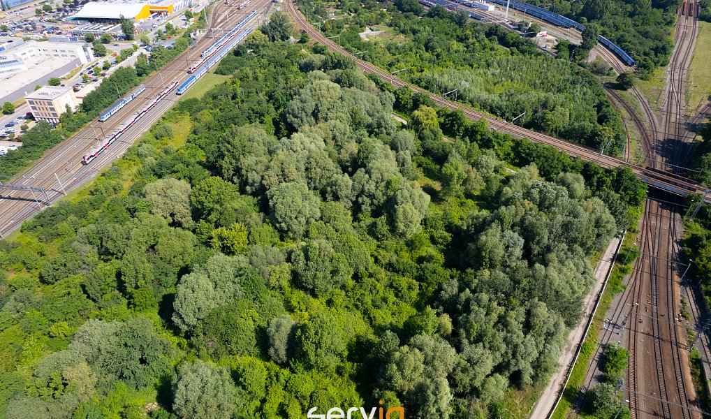 Prodej stavebního pozemku 8 257 m², Brno – náhled fotky 6