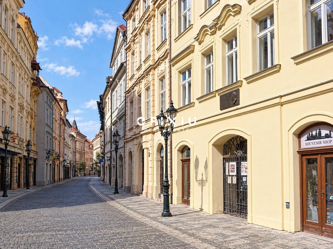 Pronájem obchodních prostor 460 m²