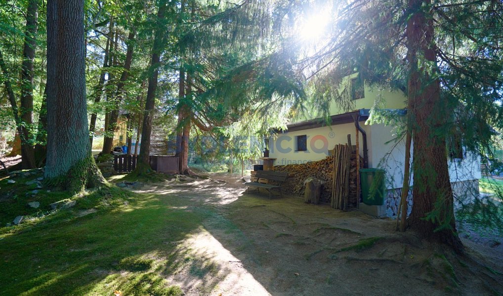 Prodej chaty/chalupy 60 m² s pozemkem 1 342 m², Borovnice – náhled fotky 2