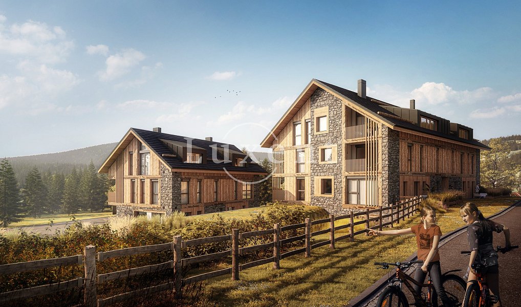Prodej bytu 1+kk 61 m², Prášily – fotka 1 z 13