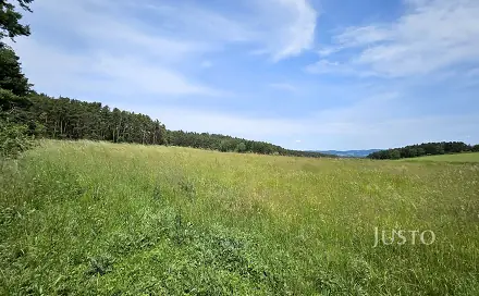 Prodej stavebního pozemku 8 980 m², Dobev - Velké Nepodřice, okres Písek