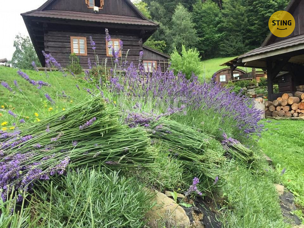 Prodej domu 2 989 m² s pozemkem 17 580 m² — photo 4