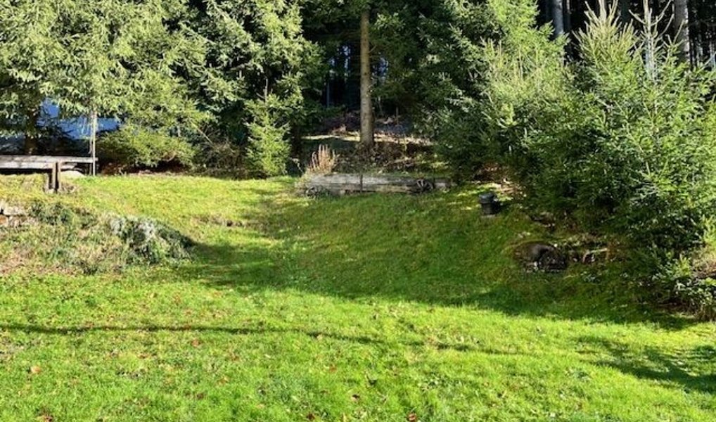 Prodej domu 250 m² s pozemkem 900 m², Smržovka – náhled fotky 30