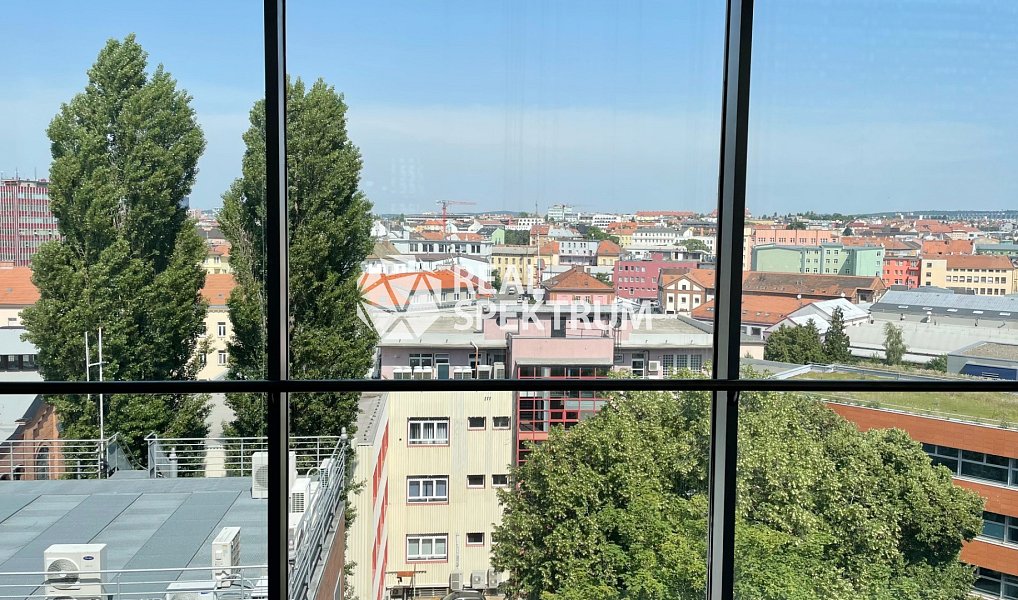 Pronájem kanceláře 53 m², Brno – náhled fotky 9