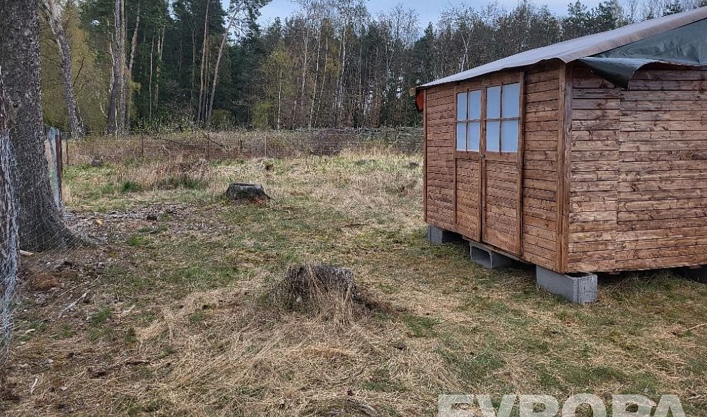 Prodej lesa 2 152 m², Břežany – náhled fotky 9