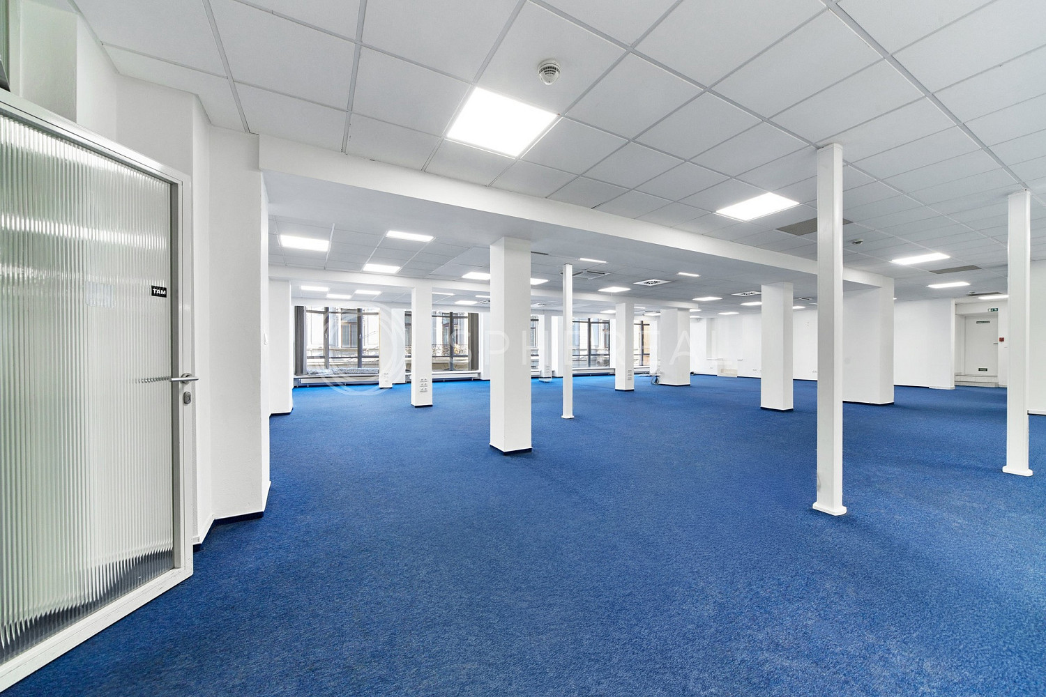 Pronájem kanceláře 505 m² — photo 3