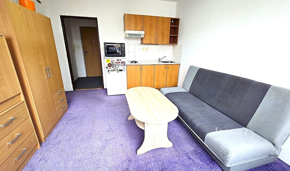 Pronájem bytu 1+kk 20 m², Písek – náhled fotky 3