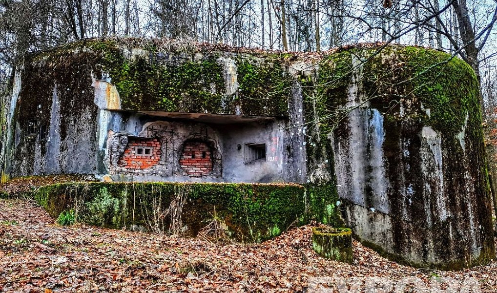 Prodej pozemkové parcely č. 448/10 s možností Nájemní smlouvy na izolovaný pěchotní srub T-S 60 U st, Trutnov – náhled fotky 2