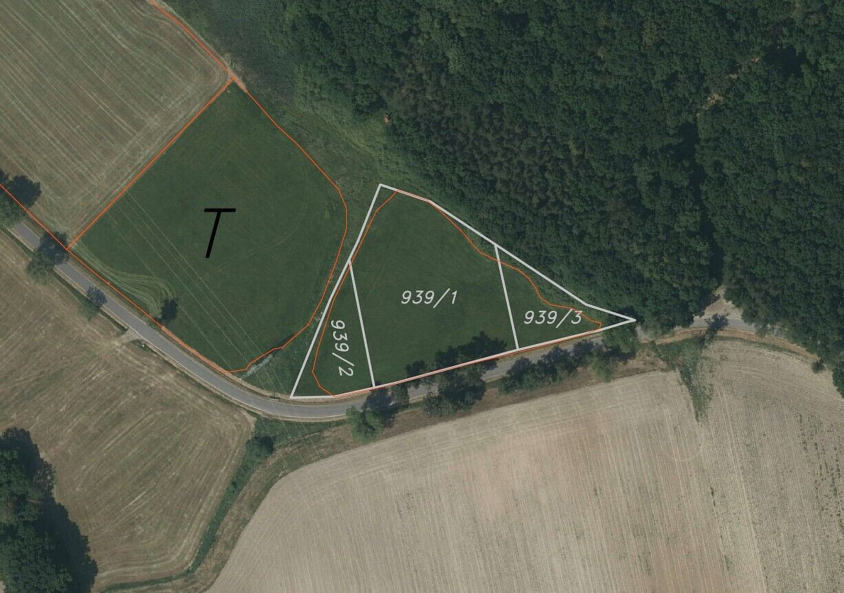 Prodej pole 6 021 m² – fotografie 3
