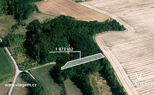 Prodej lesa 1 873 m², Medlov, okres Brno-venkov