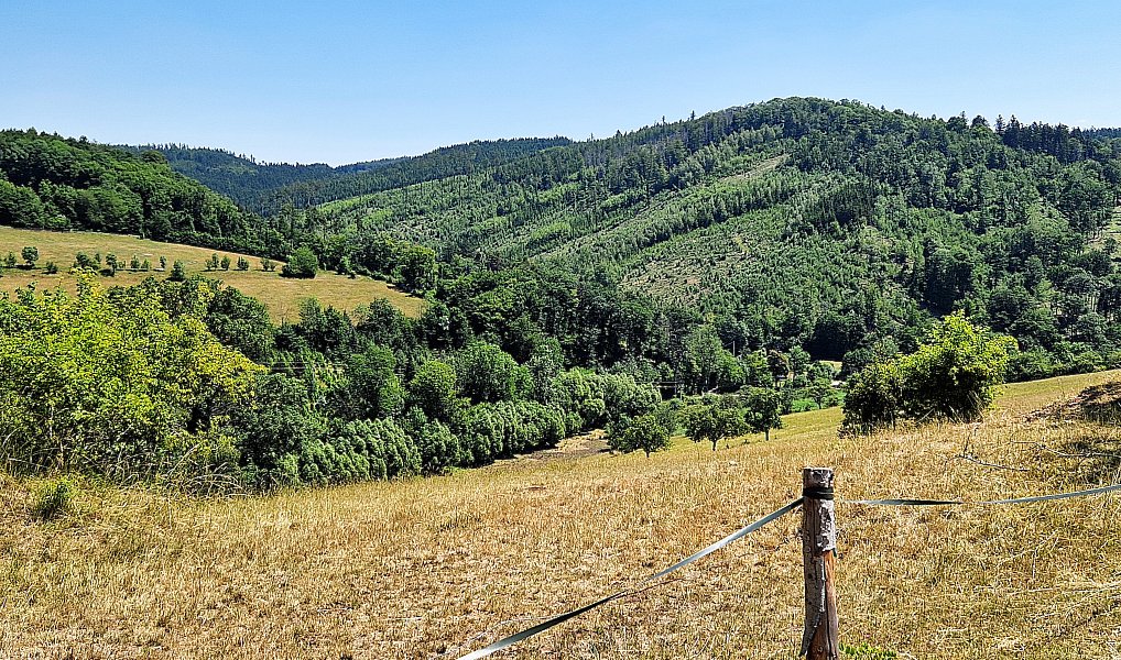 Prodej chalupy 115 m², Osiky – náhled fotky 46
