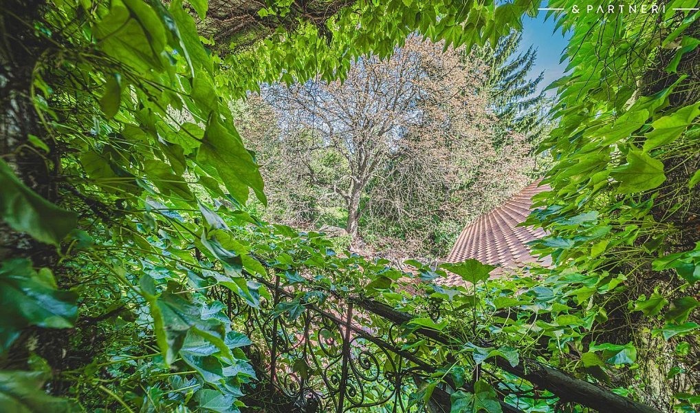 Prodej domu 300 m² s pozemkem 5 559 m², Hořice – náhled fotky 16