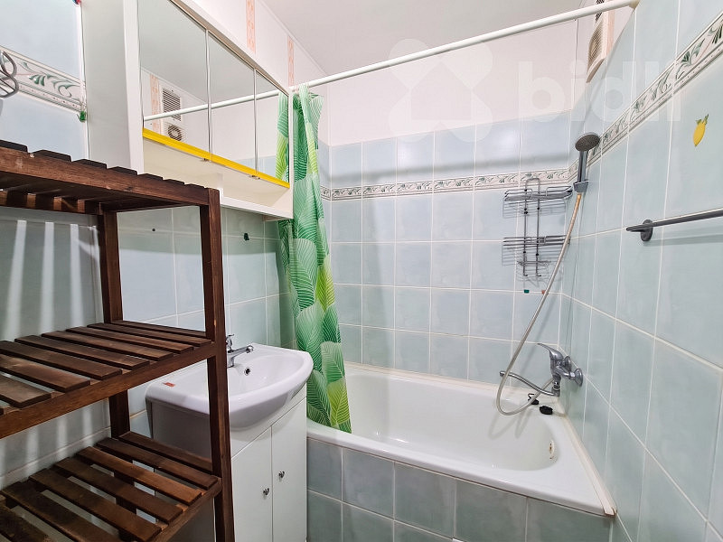 Pronájem bytu 2+1 43 m² – fotografie 4