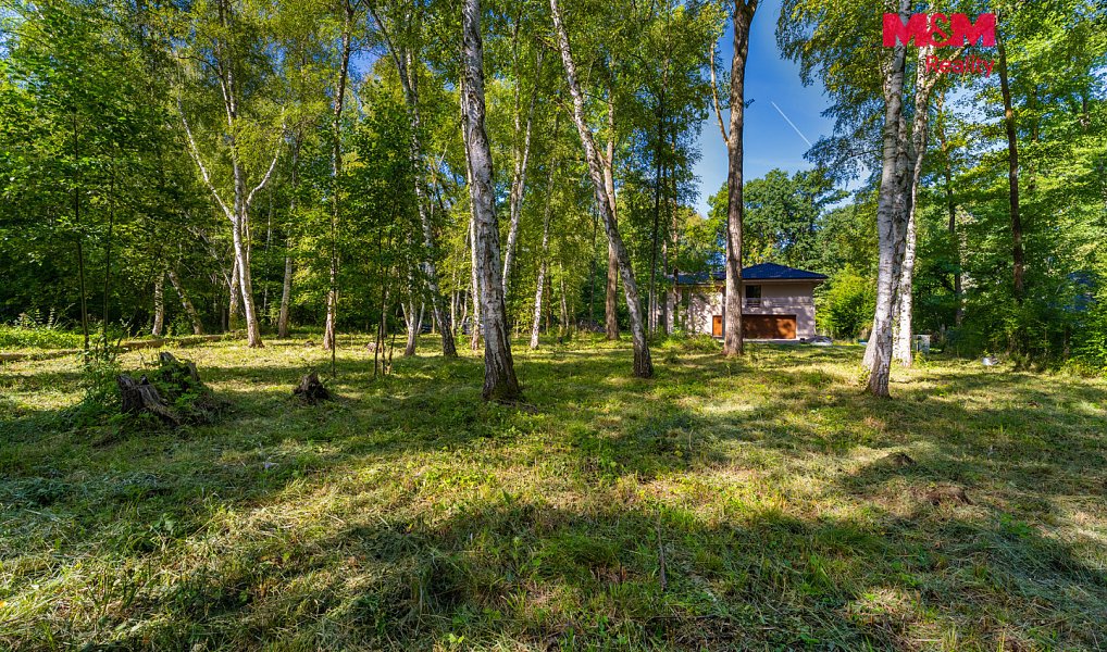 Prodej stavebního pozemku 3 825 m², Hradištko – náhled fotky 5