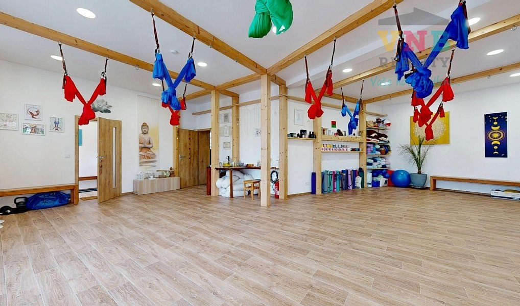 Prodej komerčního objektu (jiného typu) 205 m², Prostějov – náhled fotky 3