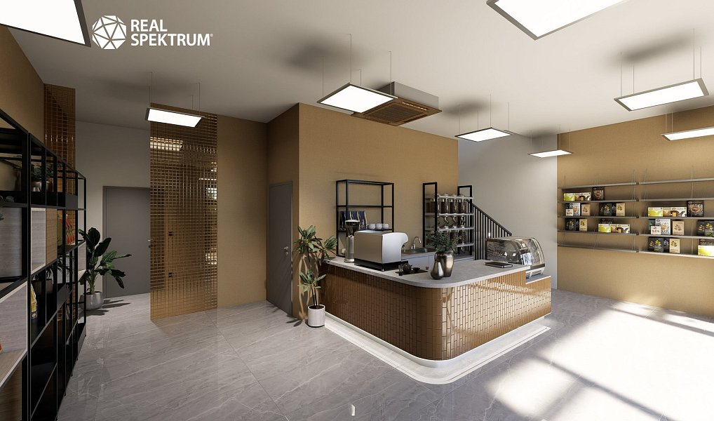Prodej skladovacích prostor 438 m², Brno – náhled fotky 4