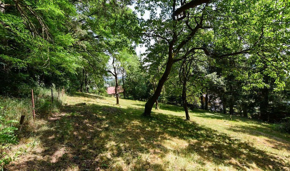 Prodej zahrady 1 015 m², Stříbrná Skalice – náhled fotky 9
