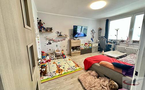 Prodej bytu 2+1 50 m², Jugoslávská, Teplice