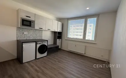 Pronájem bytu 1+1 42 m², Palackého, Znojmo
