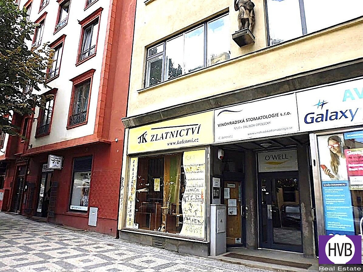 Pronájem obchodních prostor 18 m² – fotografie 4