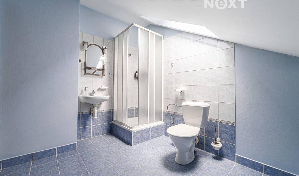 Prodej domu 214 m² s pozemkem 2 616 m², Karviná – náhled fotky 9