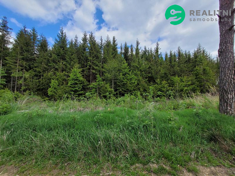 Prodej lesa 72 939 m²