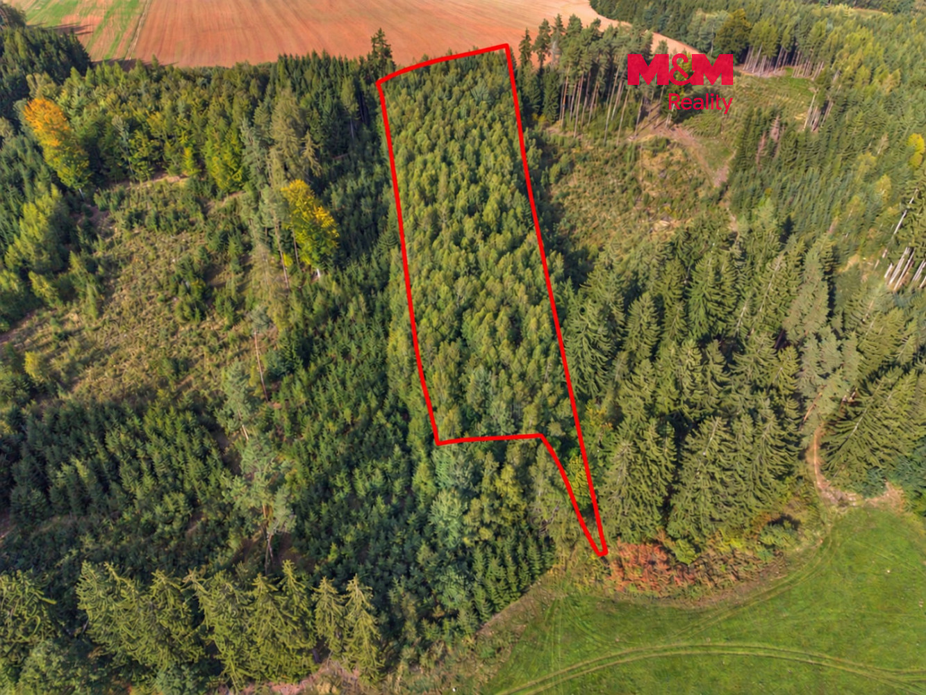 Prodej lesa 8 513 m²