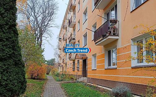 Pronájem bytu 1+1 37 m², Dělnická, Olomouc