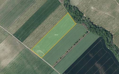 Prodej pole 21 043 m², Želkovice, okres Louny