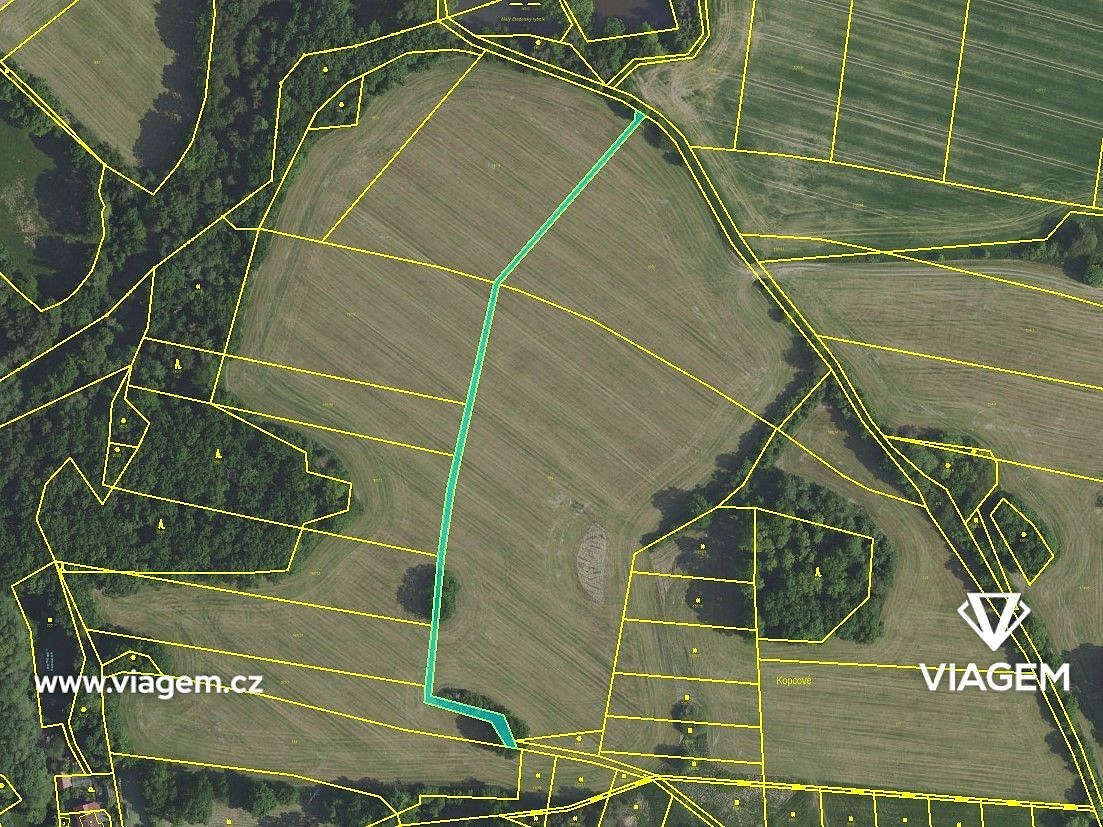 Prodej pole 1 599 m² – fotografie 5