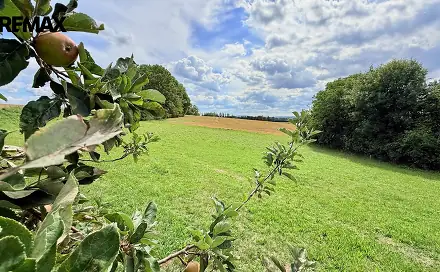 Prodej stavebního pozemku 2 585 m², Jedlá, okres Havlíčkův Brod