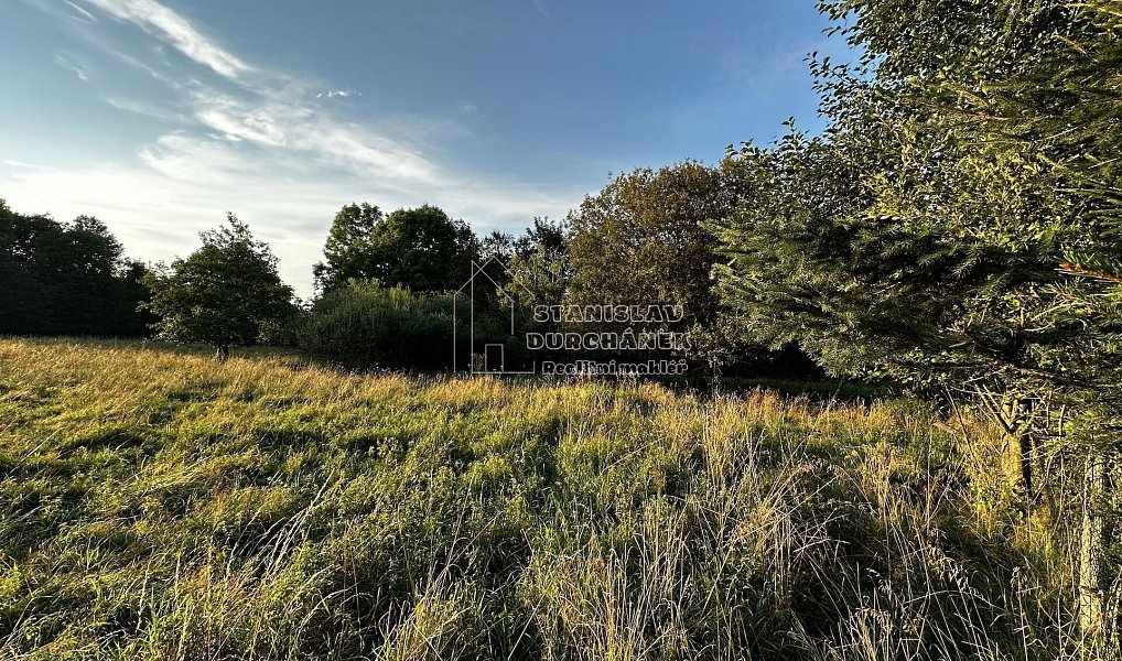 Prodej stavebního pozemku 4 929 m², Nová Ves – náhled fotky 6