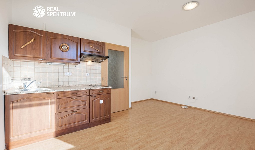 Prodej bytu 1+kk 24 m², Brno – náhled fotky 5