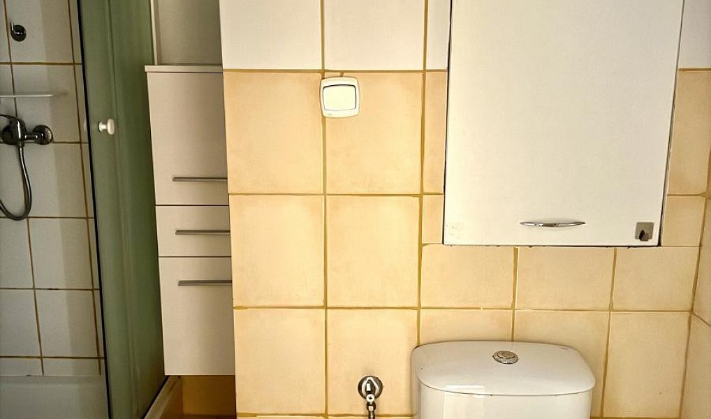 Prodej bytu 1+kk 27 m², Ostrava – náhled fotky 8