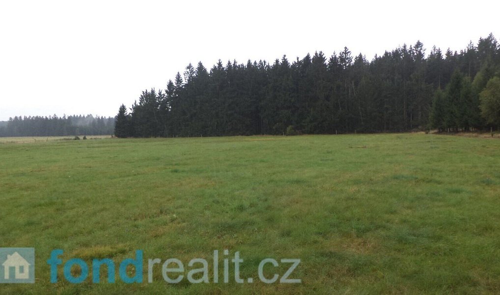 Prodej pozemku 10 628 m², Nová Bystřice – náhled fotky 4