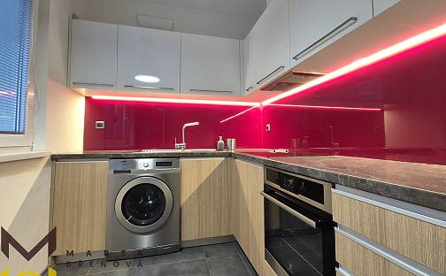 Pronájem bytu 2+1 55 m², náměstí SNP, Brno - Černá Pole