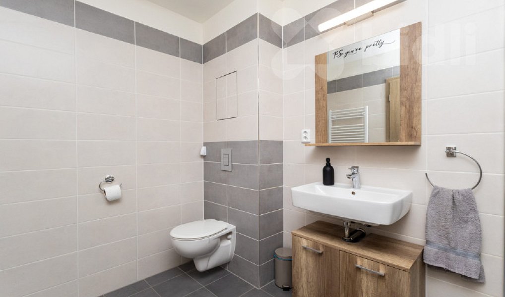 Prodej bytu 3+kk 101 m², České Budějovice – náhled fotky 20