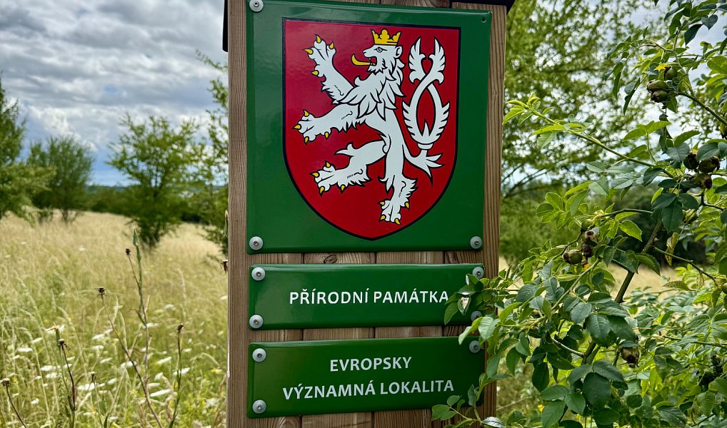 Prodej stavebního pozemku 1 659 m², Přerov nad Labem – náhled fotky 5