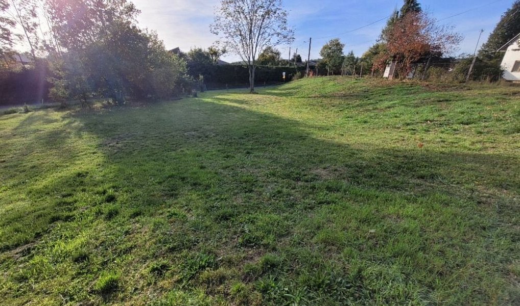 Prodej stavebního pozemku 1 237 m², Zdemyslice – náhled fotky 7