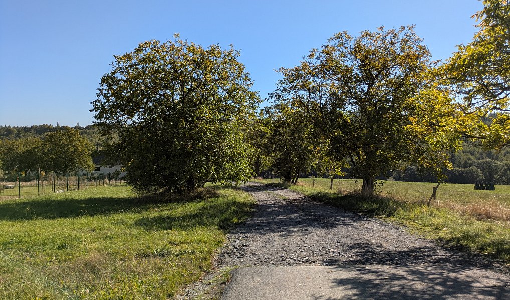 Prodej stavebního pozemku 886 m², Březová – náhled fotky 2