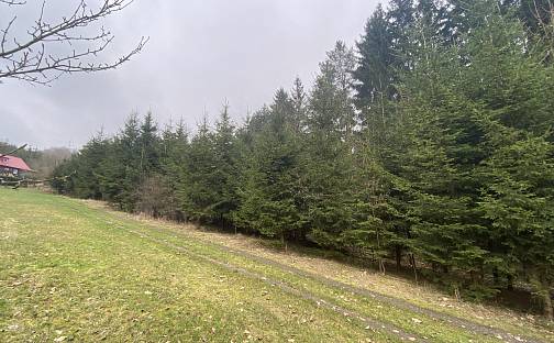 Prodej lesa 21 567 m², Strážná, okres Ústí nad Orlicí
