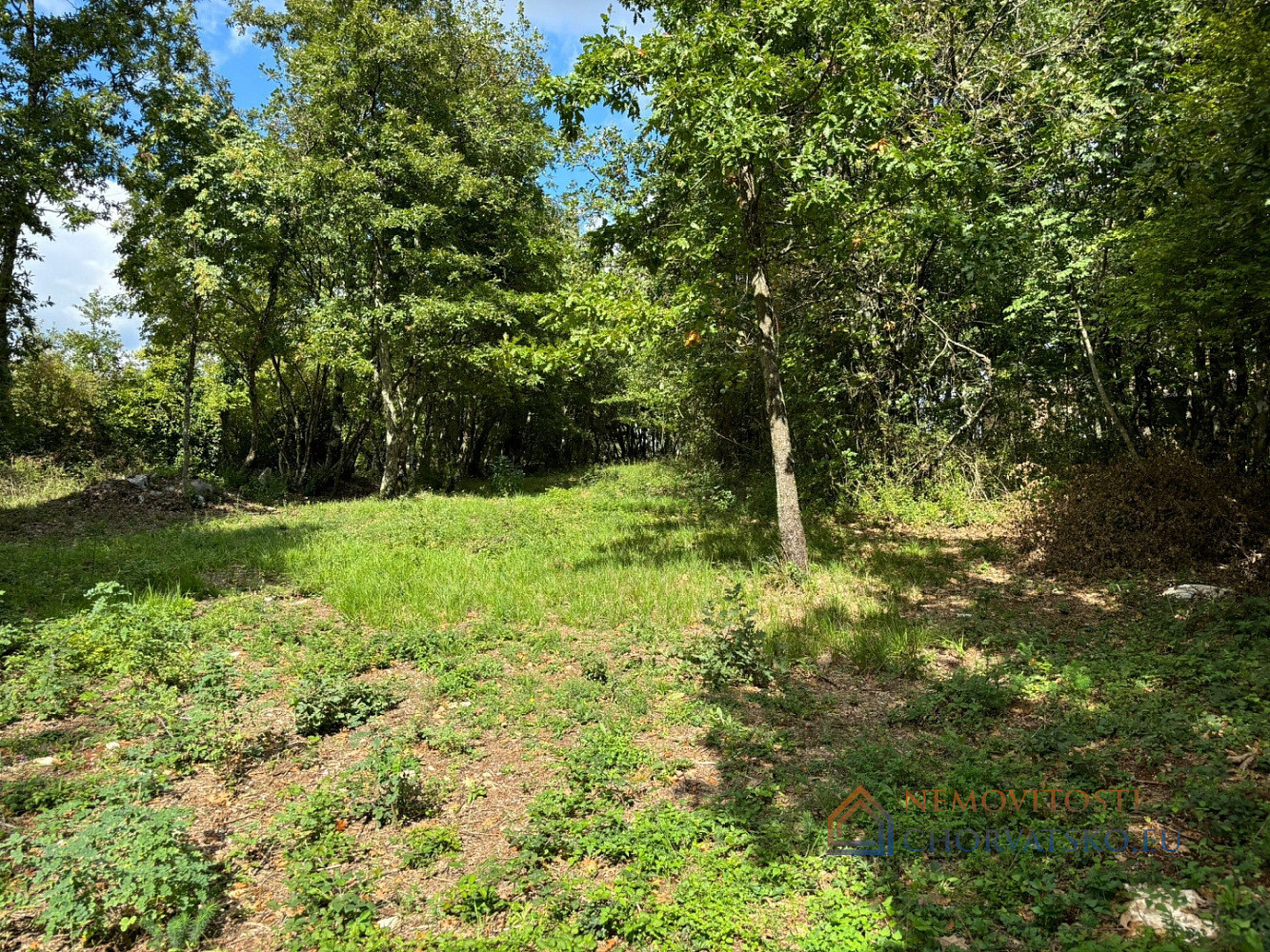 Prodej stavebního pozemku 1 384 m² - Widok 4