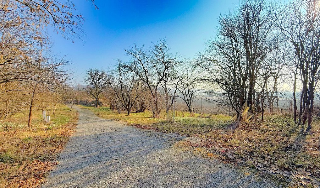 Prodej stavebního pozemku 8 684 m², Radhošť – náhled fotky 2