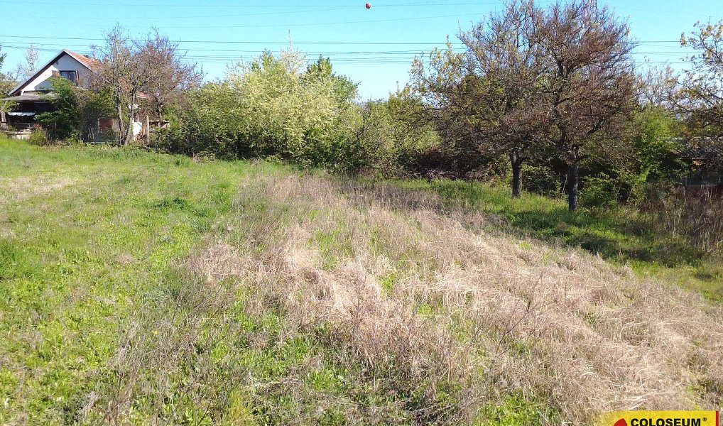 Prodej zahrady 793 m², Modřice – náhled fotky 5